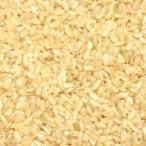 発芽玄米 (500g) 国産 【メール便対応】