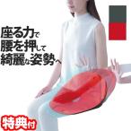 ボードクッション コシオス 骨盤矯正クッション 骨盤矯正椅子 骨盤チェアー 骨盤矯正椅子 お尻 男女兼用 前傾 後傾 背筋 S字ライン 美..