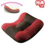 骨盤底筋 モレトレ美クス 勝野式 モレトレビクス トレーニングクッション レッド×ブラウン モレトレビクス 座って揺れるだけ簡単トレーニン