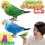 毎日おしゃべり 天才インコちゃん 音声認識人形 お話し人形 おしゃべりロボット 毎日お喋り しゃべる人形 天才インコチャ