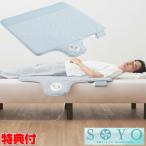 アテックス ATEX 快眠マット SOYOハーフ AX-BSA608Hbl ブルー - 最安値