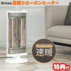 ブリッサ 900W 首振り ツイン カーボンヒーター BDTM900WH 速暖ヒーター 首振り 足元ヒーター 脚温機 子供部屋ヒーター ヒートショック予防