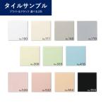 ブライト＆アタック サンプル2色セット 100角 タイル KYタイル