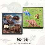  Valentine 2026 шоколад подарок динозавр шоко ребенок сосна способ магазин сладости подарок день рождения динозавр шоколад S 452490-M-D-4