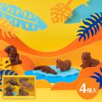  Valentine 2026 шоколад подарок шоко ZOOLOGY сладости подарок ti расческа .na Lee S461104-M-Z-1