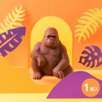 バレンタイン 2026 チョコレート ギフト チョコ ZOOLOGY お菓子 プレゼント マウンテンゴリラ461143-M-Z-5