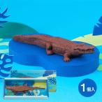  White Day ответ подарок шоко ZOOLOGY сладости подарок крокодил 461175-M-Z-8