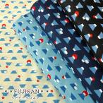 FUJISAN(.. san : гора Фудзи )do Vehicross 