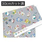 [ разрезанный Cross ]30cm - gire Nakayoshi!.....s уход принт [20L]