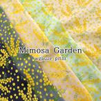 Ｍｉｍｏｓａ Ｇａｒ�