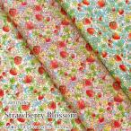 [ круг наматывать отправка ][ блеск удаление ламинирование ]<br>Strawberry Blossom( клубника bro Sam ) Broad ткань с принтом 