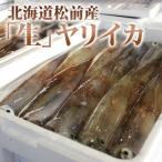  Hokkaido сосна передний производство yali кальмар сырой [1kg маленький размер ]. sashimi кальмар вермишель 