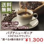 受注後焙煎 珈琲豆 コーヒー豆 パプアニューギニア スペシャリティーコーヒー200g スペシャリティ 一流焙煎師による自家焙煎のコーヒー豆 松本珈琲
