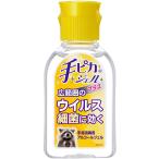 健栄製薬 手ピカジェルプラス ６０ＭＬ （指定医薬部外品）
