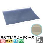 吊り下げ用カードケース 硬質 A4サイズ 5枚入り