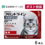 猫-商品画像