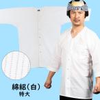  Tokyo маленький . обыкновенный карп . рубашка тонкий хлопок белый очень большой 