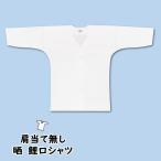  Tokyo Edo один обыкновенный карп . рубашка .( белый ) мостик . нет очень большой 
