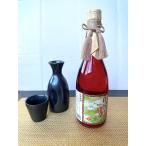 [. лет . подарок ] праздник shochu восток сосна остров верх и низ .. . premium основной соба shochu .. цветок .( красный бутылка ) 720ml несессер inserting 