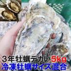 【10%OFFクーポン有】デカい牡蠣 殻付き 牡蠣 「3年牡蠣 5kg」 冷凍便 加熱用牡蛎牡蠣 殻付 宮城県 カキ 牡蛎 BBQ かき 海産物貝類 松島牡蠣屋 冷凍牡蠣