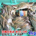 . упаковка отгрузка wataligani мужской средний размер 4kg( примерно 18 кубок ) миграция .ga The mi...ke Jean .... почтовый заказ Miyagi префектура производство ... краб ...