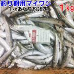 冷凍餌 マイワシ 中サイズ 1kg【1kgずつ小分け】 1kgあたり約26匹 釣り餌 真鰯 まいわし 鰯 釣りエサ 撒き餌 熱帯魚 観賞魚 アロワナ 淡水魚餌 フィッシング