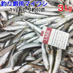 冷凍餌 マイワシ 小サイズ ３kg【1kgずつ小分け】 1kgあたり約60匹 釣り餌 真鰯 まいわし 鰯 釣りエサ 撒き餌 熱帯魚 観賞魚 アロワナ 淡水魚餌  フィッシング