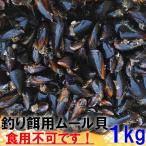 【10％OFFクーポン有】１ｋｇ ムール貝 釣り餌に 冷凍ムール貝　ムラサキイガイ 冷凍品イガイ カラス貝 ムール貝 釣りエサ クロダイ 黒鯛 チヌ 石鯛 コブダイ