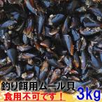 【10％OFFクーポン有】３ｋｇ ムール貝 釣り餌に 冷凍ムール貝　ムラサキイガイ 冷凍品イガイ カラス貝 ムール貝 釣りエサ クロダイ 黒鯛 チヌ 石鯛 コブダイ