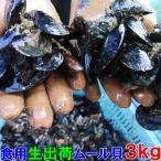 ショッピングわけ有 【10％OFFクーポン有】ムール貝 生出荷 食用ムール貝３ｋｇスープベース ムラサキイガイ  訳あり大中小コミコミサイズ 出汁に、パスタに 加熱調理用