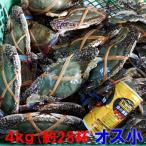 活梱包発送４ｋｇワタリガニオス小サ...