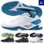 送料無料 ミズノ ハンドボールシューズ メンズ レディース 2E 室内用 ウエーブステルスNEO X1GA2000