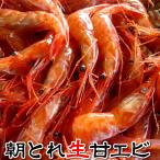 .....( сырой ) средний примерно 200g( Hyogo префектура . склон производство ). склон производство северная креветка свежий местного производства Япония .. море .ama креветка .... наличие sashimi для 