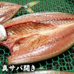 天日干し「真サバ開き」(冷凍)大 1尾 約250-300g程度(真空パック入) 国産(山陰浜坂産)さば・鯖