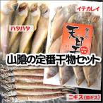 干物セット(冷凍) 山陰の3種類の定番干物 (山陰浜坂産)(送料無料)ギフトに
