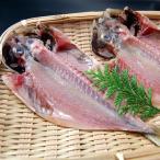 Yahoo! Yahoo!ショッピング(ヤフー ショッピング)真鯵開き干し（冷凍）中　1枚入（兵庫県浜坂産）３枚購入で１枚増量中！干物 一夜干し アジ あじ マアジ 魚 晩酌 酒の肴 ご飯 おとも 朝ごはん 夕飯 メイン