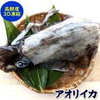  борт кальмар ( рефрижератор ) очень большой примерно 2.0-2.5kg передний и задний (до и после) 1 кубок входить ( туловище длина : примерно 38-40cm степень ) ( Hyogo префектура . склон производство ) шт упаковка 