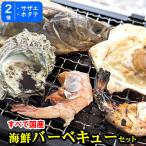 （送料無料）国産ホタテ（片貝）とサザエの海鮮バーベキューセット（冷凍）