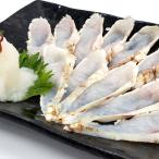 刺身用 炙り真ふぐフィレ(冷凍)約120g以上(兵庫・山陰浜坂産)冷凍とは思えない鮮度。お好みの厚さにスライスして。(ふぐ、河豚、てっさ、ふぐたたき)