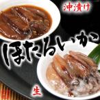 （送料無料）生ホタル