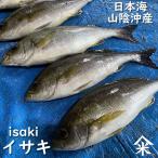 商品画像3