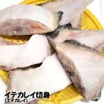 子持ちイテカレイ切身（冷凍）約1ｋｇ　（浜坂産）（いてかれい、えてかれい、エテカレイ、鰈）