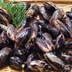 貝「クロクチ（冷凍）」　サイズ混ざり　300ｇ　　（浜坂産）　（二枚貝、ムラサキインコ）ダシ取り、つりえさ、餌