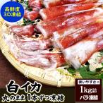 白イカ（冷凍）約1ｋｇ（5杯前後入）　（浜坂産）お刺身OK  （白烏賊・白いか・烏賊・やりいか・ヤリイカ・ケンサキ・けんさき）