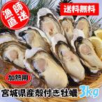 加熱用 宮城県産 殻付き牡蠣3kg（約38粒） 殻付き　牡蠣　カキ　加熱用　BBQ　キャンプ　アウトドア