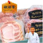 夏ギフト 残暑見舞 敬老 ギフト ハム ギフト グルメ セット 松阪牛ハンバーグ・ハムギフトセット B 送料無料