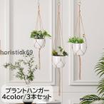 プラントハンガー 3本セット