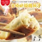 宮崎地頭鶏餃子10個 宮崎餃子 高鍋餃子 ぎょうざ ギョーザ ご当地 ラヴィット! 熱狂マニアさん 知らない世界 名店 王様のブランチ 行列ができる相談所
