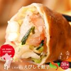 ショッピングぎょうざ えびしそ餃子30個 宮崎餃子 高鍋餃子 新宮崎グルメグランプリ ぎょうざ 海老餃子 ラヴィット！ 熱狂マニアさん 知らない世界 王様のブランチ 行列ができる相談所