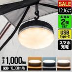 LED фонарь свет 2 штук комплект заряжающийся мобильный аккумулятор USB максимальный 1,000 люмен 10,000mAh зарядка предотвращение бедствий водонепроницаемый IPX4 уличный FIELDOOR 1 год гарантия бесплатная доставка 